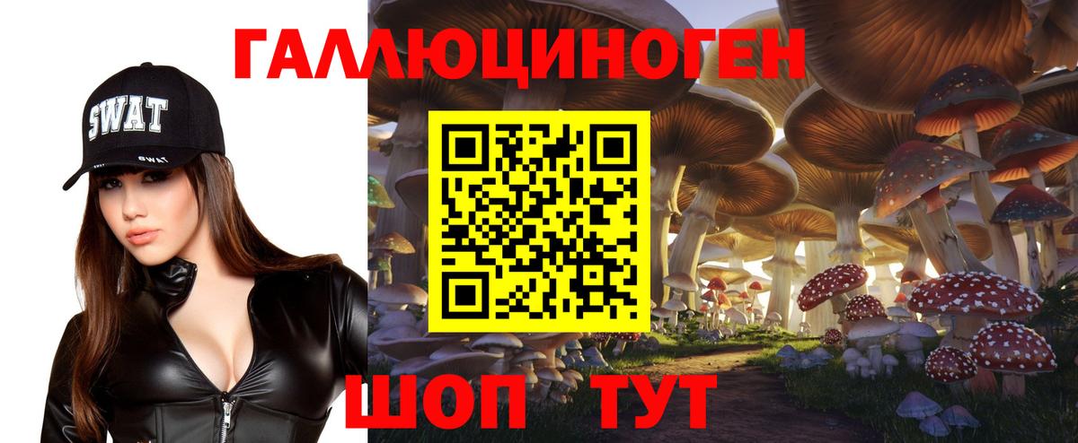 Кашира  Галлюциногенные грибы Cubensis  Вход с VPN 