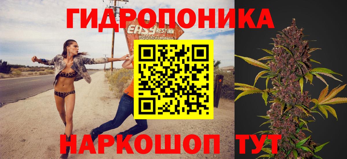 Кашира  Бошки Шишки ГИДРОПОН  Бошки Шишки планчик  Вход с VPN  Марихуана гибрид 